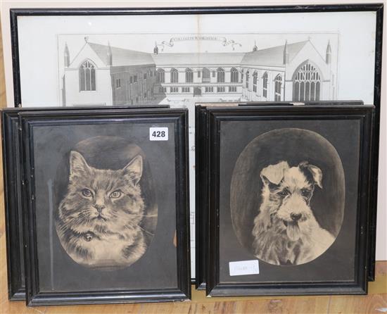 A Roberto Pye engraving Collegium Wadhamense, 38 x 38cm and four monochrome pictures of cats and dogs